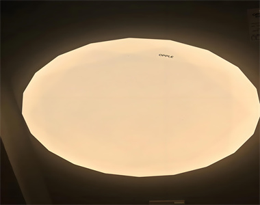 1749634306622297.jpg 9b104f80-5b15-4368-abb0-2556b8e2f039.jpg