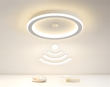 1749634357936637.jpg 095798b2-256a-4281-a74e-c767bb1edb1b.jpg