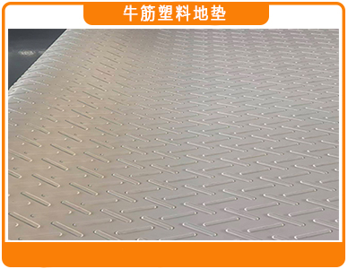 1767494159721711.jpg 牛筋塑料地垫1.jpg