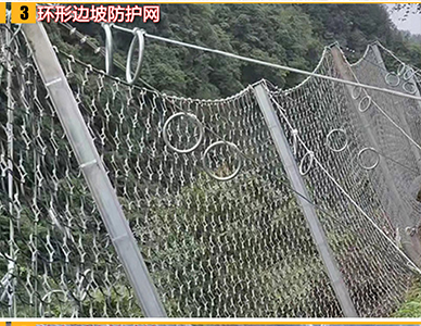 1773641043419887.jpg 14.jpg