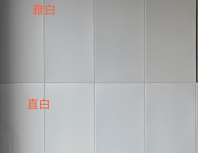 1775813172724630.jpg 4.jpg